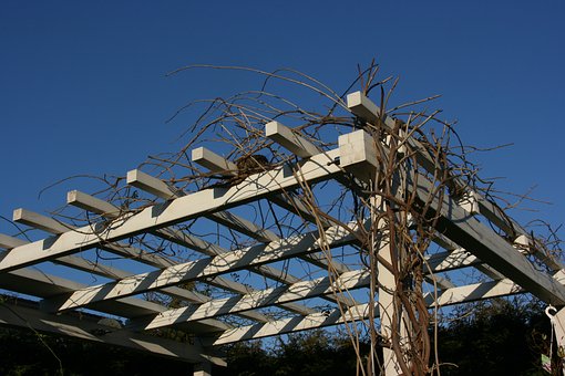 De jolies pergolas pour sublimer encore plus vos extérieurs!