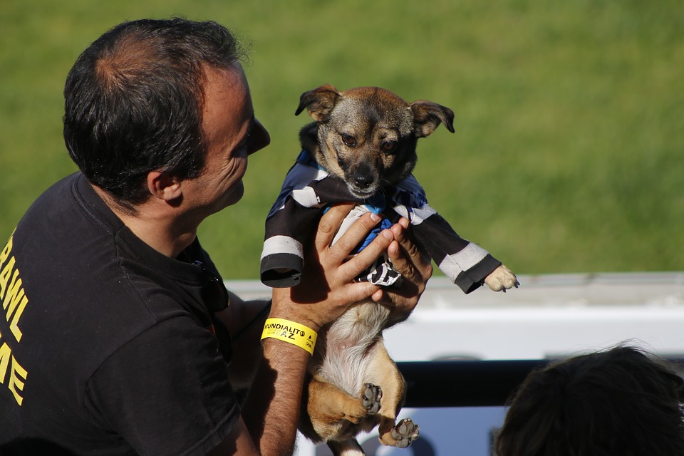 La technique de dressage adaptée à votre chien